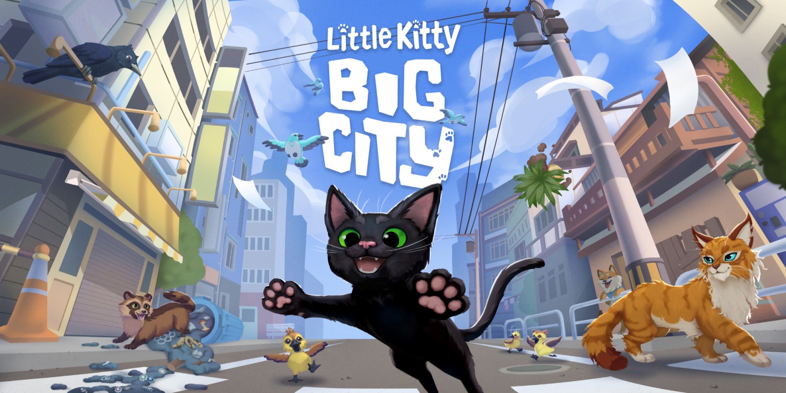Kitty